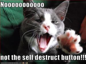 "Not the self-destruct button" found at http://www.connectedprincipals.com/archives/4100.  I had to include this image... It was just too funny not to do so.