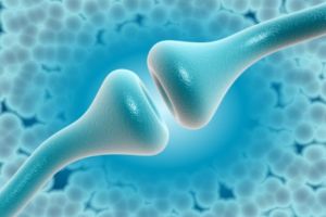 Found: http://communities.washingtontimes.com