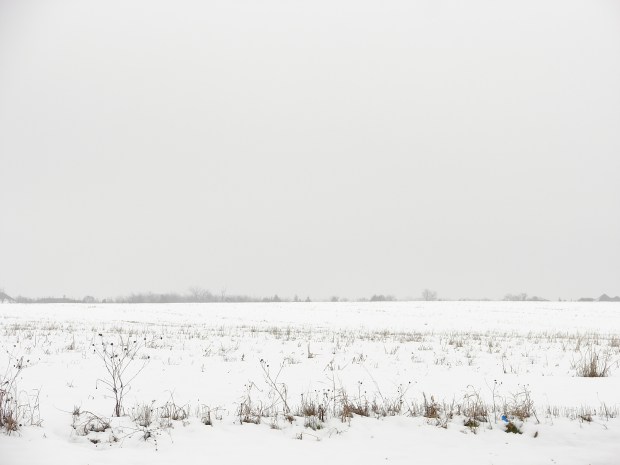 snow-field-3938